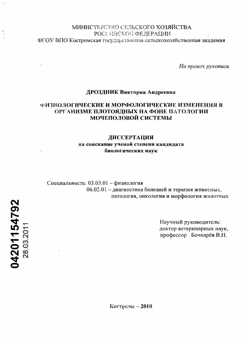Физиологические и морфологические изменения в организме плотоядных на фоне патологии мочеполовой системы