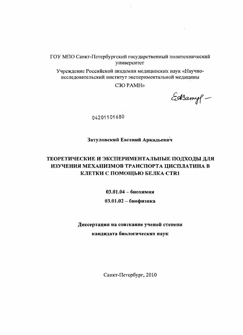 Теоретические и экспериментальные подходы для изучения механизмов транспорта цисплатина в клетки с помощью белка CTR1