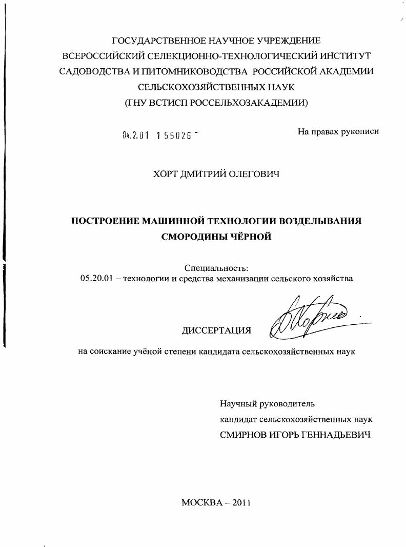 Построение машинной технологии возделывания смородины чёрной