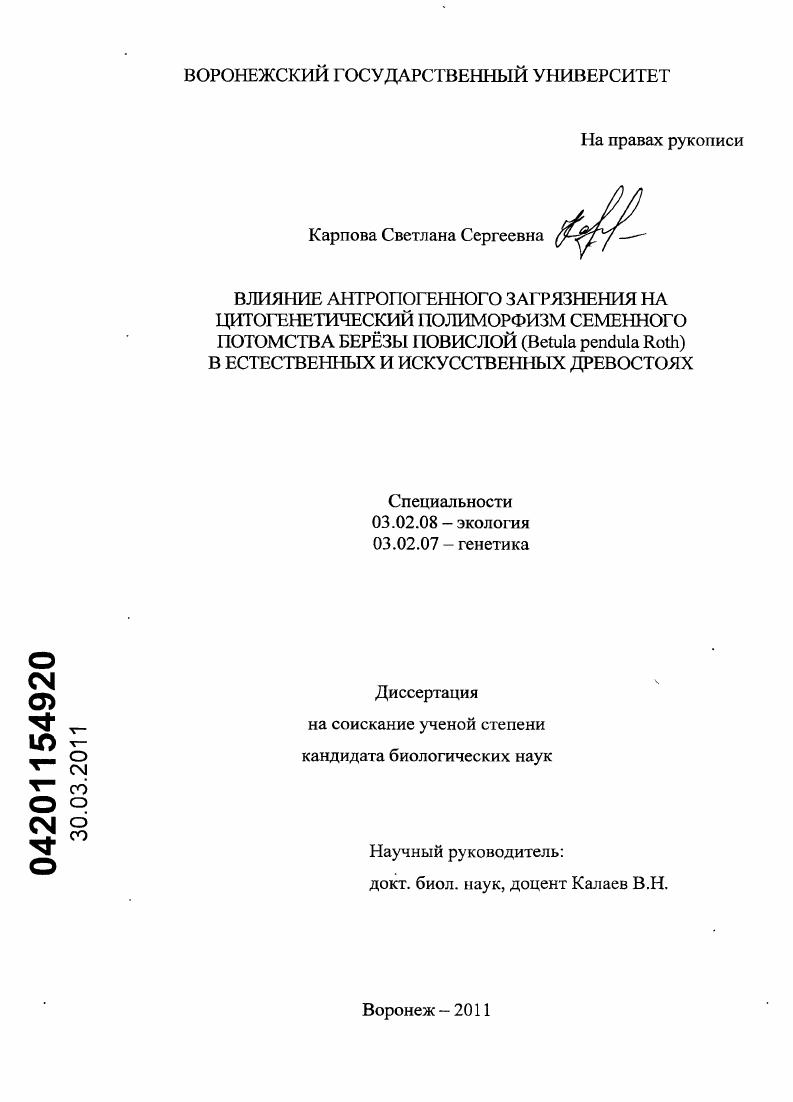 скачать диссертацию Влияние антропогенного загрязнения на цитогенетический полиморфизм семенного потомства берёзы повислой (Betula pendula Roth) в естественных и искусственных древостоях Влияние антропогенного загрязнения на цитогенетический полиморфизм семенного потомства берёзы повислой (Betula pendula Roth) в естественных и искусственных древостоях