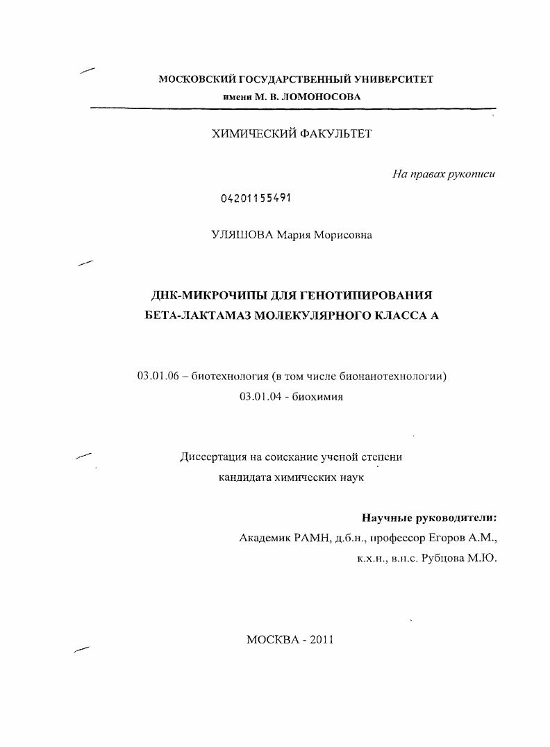 ДНК-микрочипы для генотипирования бета-лактамаз молекулярного класса А