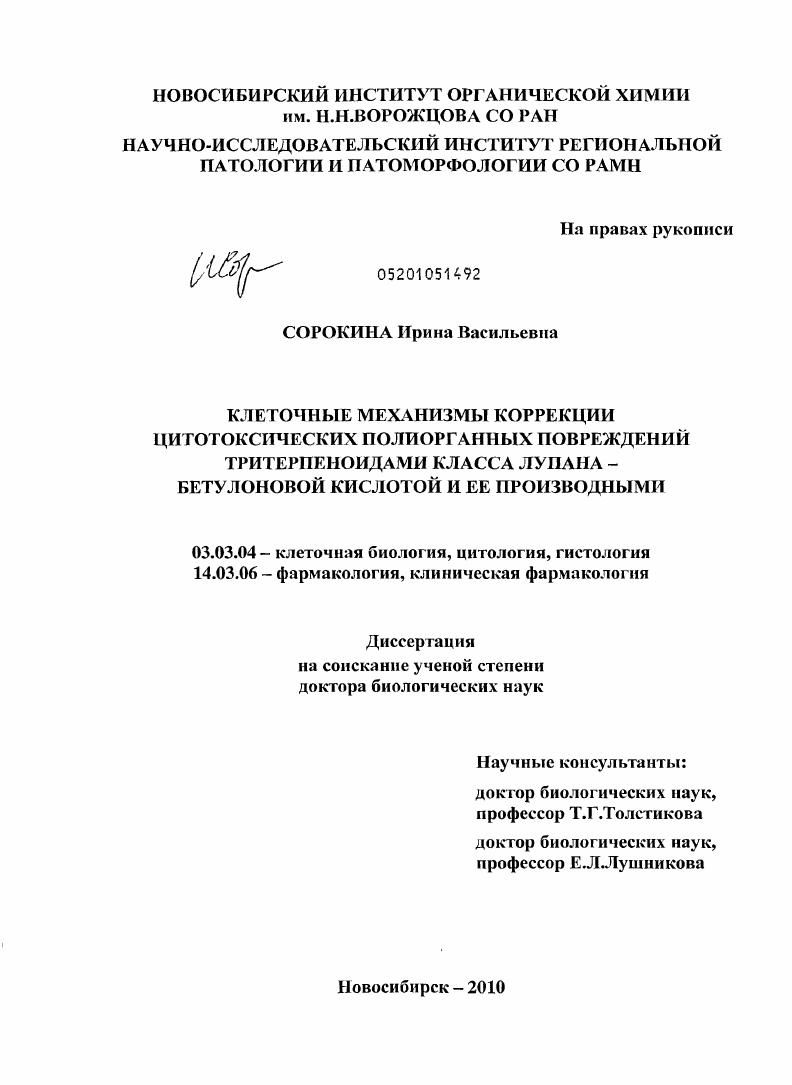 скачать диссертацию Клеточные механизмы коррекции цитотоксических полиорганных повреждений тритерпеноидами класса лупана - бетулоновой кислотой и ее производными Клеточные механизмы коррекции цитотоксических полиорганных повреждений тритерпеноидами класса лупана - бетулоновой кислотой и ее производными