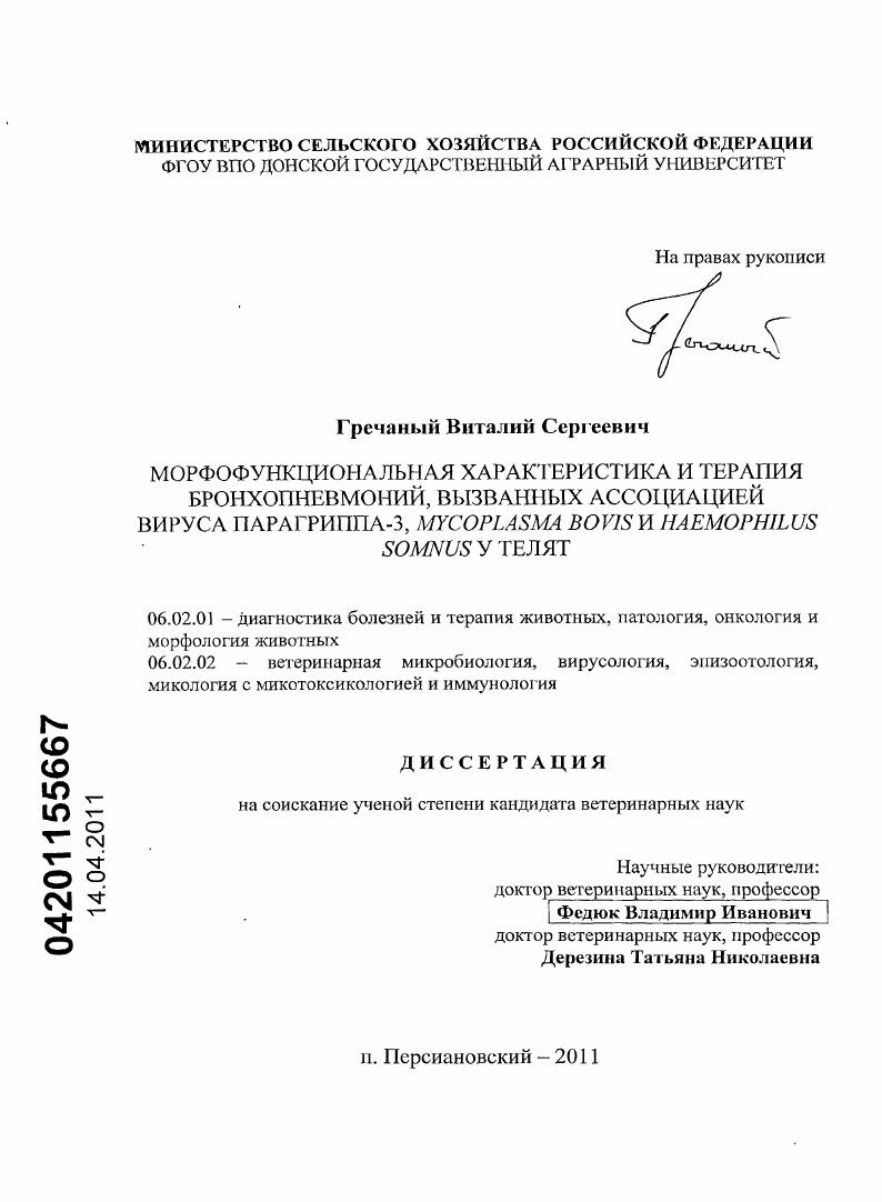 скачать диссертацию Морфофункциональная характеристика и терапия бронхопневмоний, вызванных ассоциацией вируса парагриппа-3, Mycoplasma bovis и haemophilus somnus, у телят Морфофункциональная характеристика и терапия бронхопневмоний, вызванных ассоциацией вируса парагриппа-3, Mycoplasma bovis и haemophilus somnus, у телят