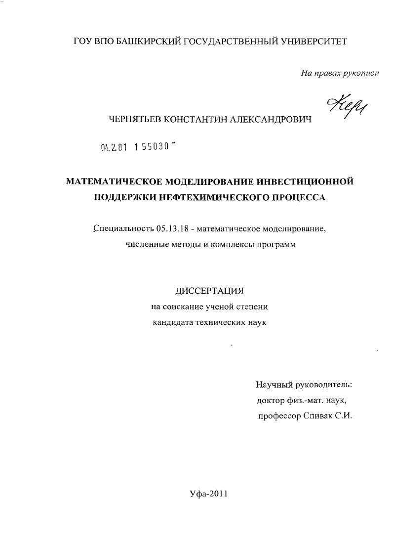 Математическое моделирование инвестиционной поддержки нефтехимического процесса