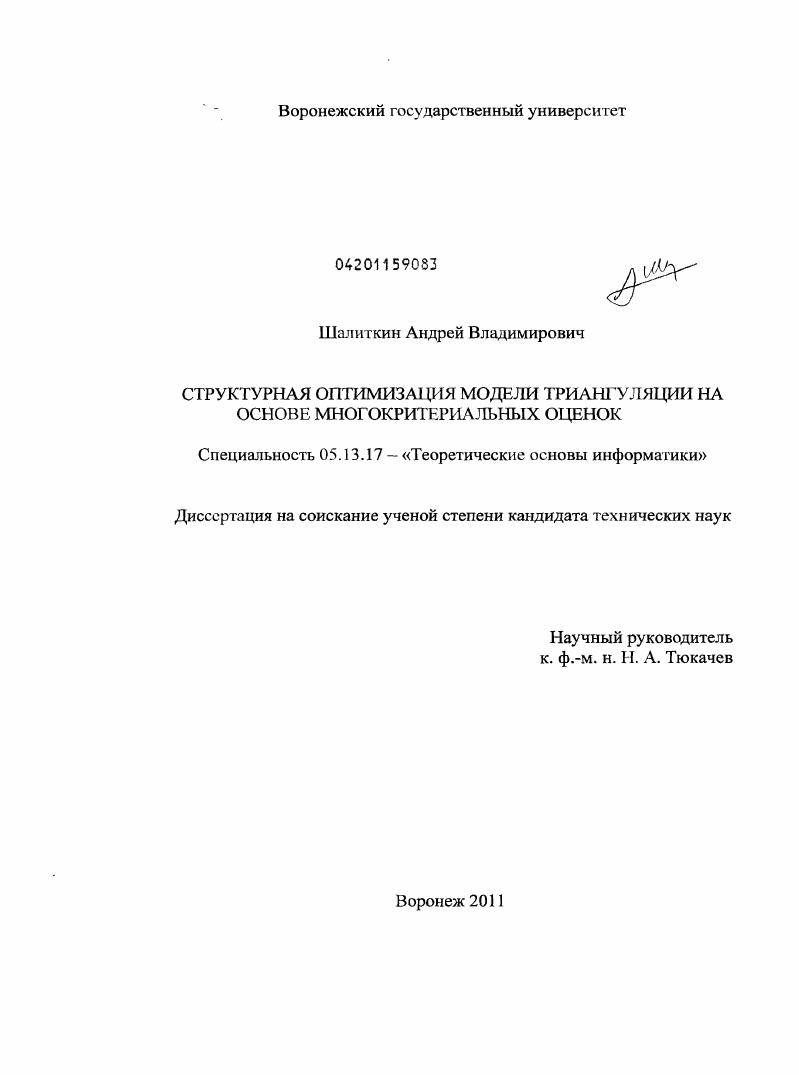 Структурная оптимизация модели триангуляции на основе многокритериальных оценок