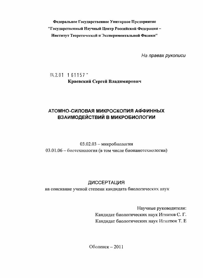 скачать диссертацию Атомно-силовая микроскопия аффинных взаимодействий в микробиологии Атомно-силовая микроскопия аффинных взаимодействий в микробиологии