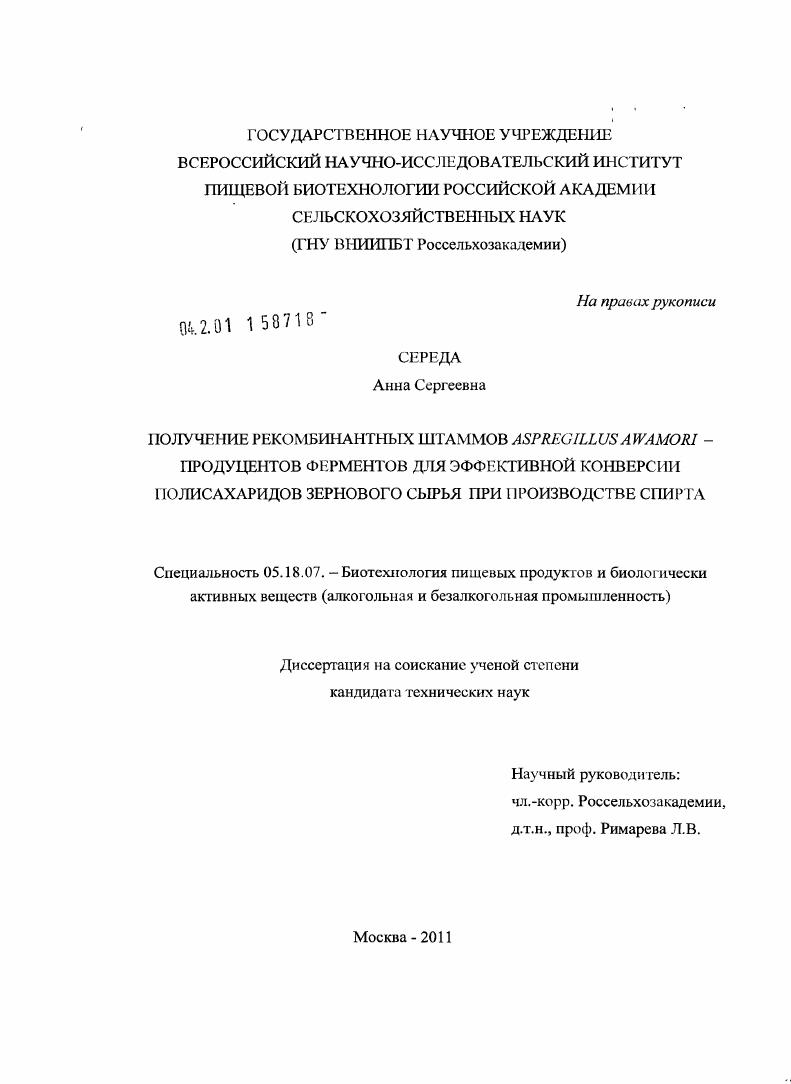 Получение рекомбинантных штаммов Aspregillus awamori - продуцентов ферментов для эффективной конверсии полисахаридов зернового сырья при производстве спирта