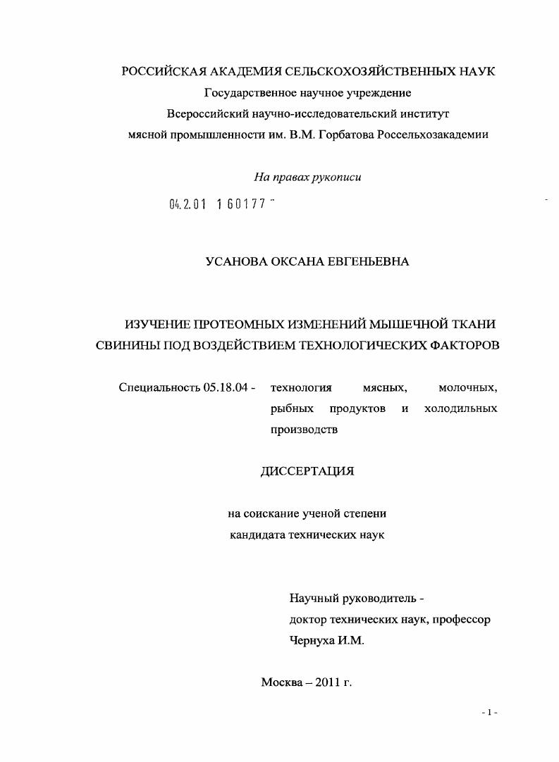 Изучение протеомных изменений мышечной ткани свинины под воздействием технологических факторов