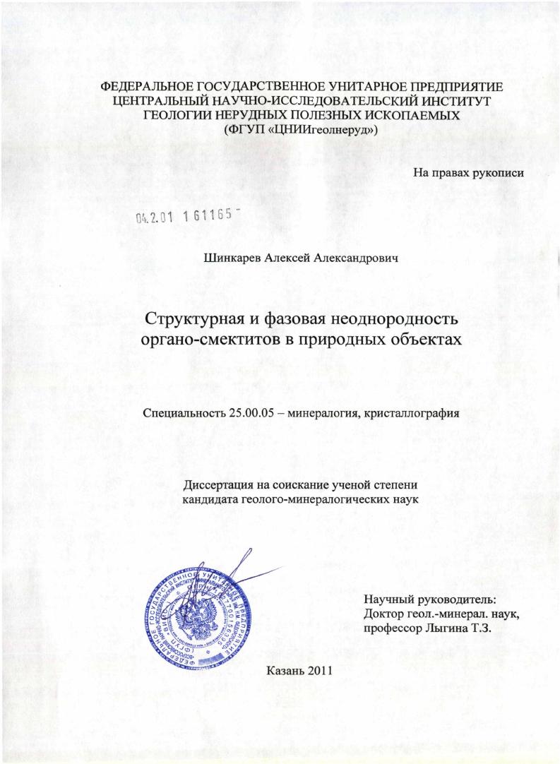 Структурная и фазовая неоднородность органо-смектитов в природных объектах