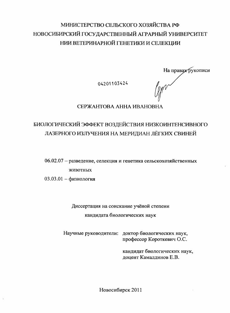 Биологический эффект воздействия низкоинтенсивного лазерного излучения на меридиан лёгких свиней