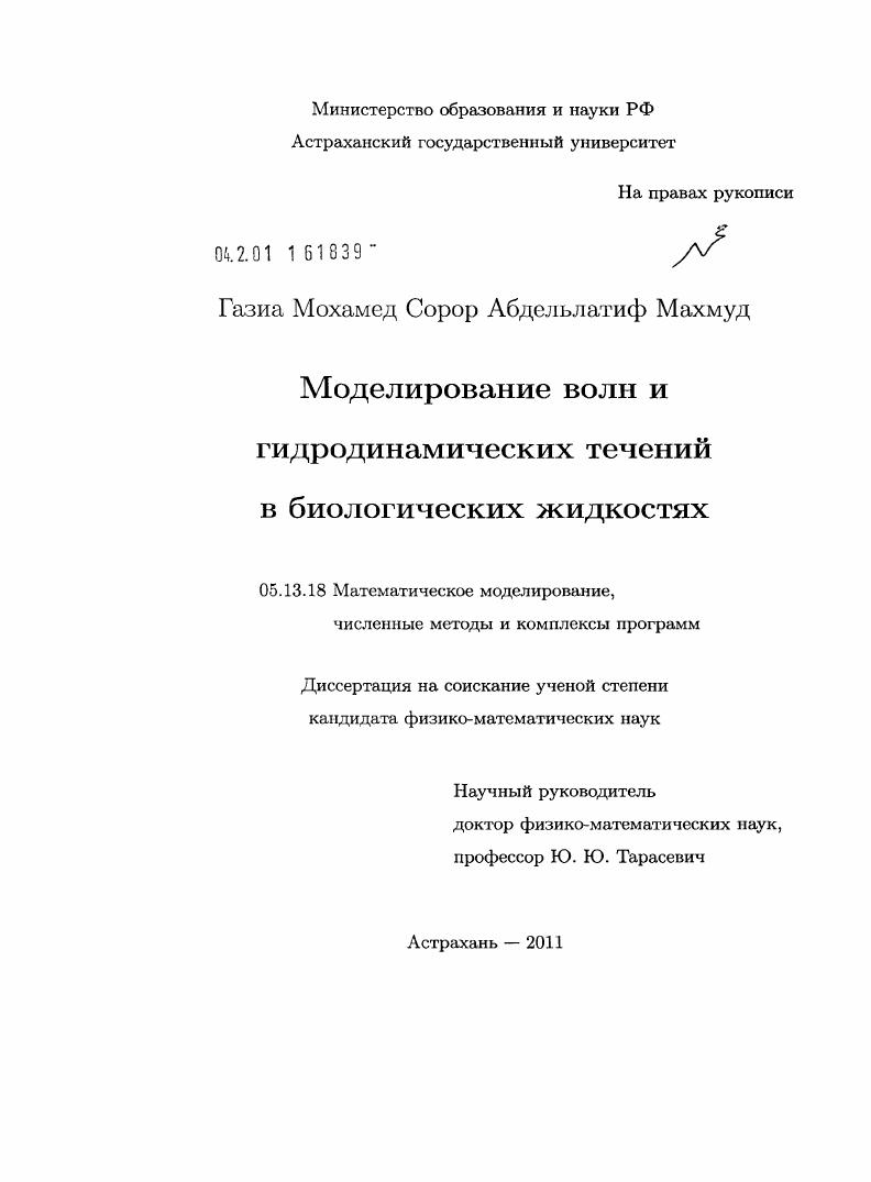 скачать диссертацию Моделирование волн и гидродинамических течений в биологических жидкостях Моделирование волн и гидродинамических течений в биологических жидкостях