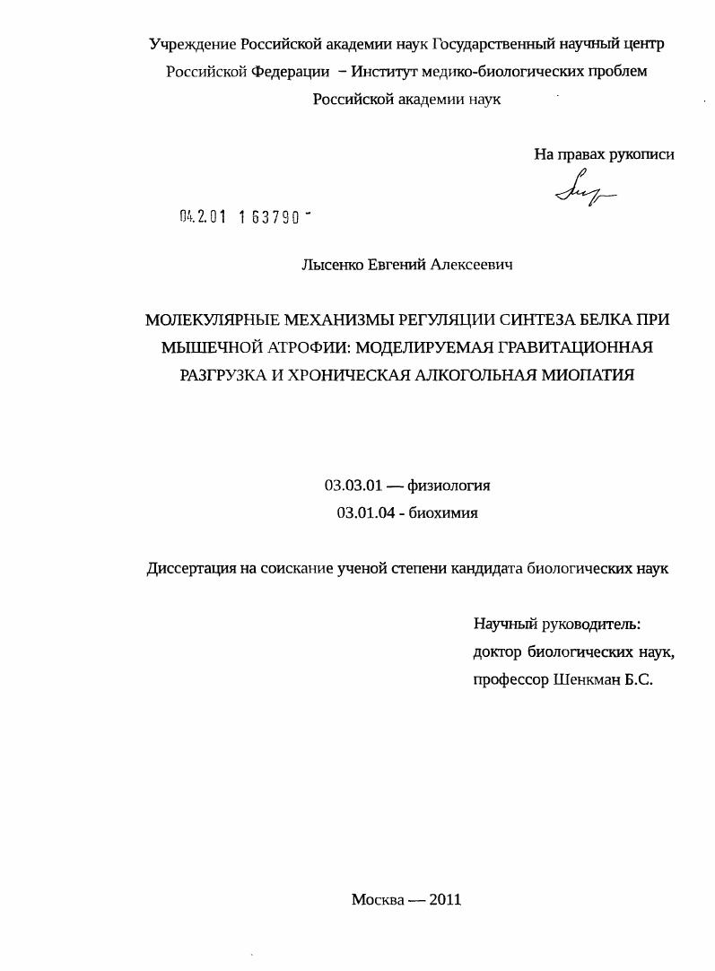 Молекулярные механизмы регуляции синтеза белка при мышечной атрофии: моделируемая гравитационная разгрузка и хроническая алкогольная миопатия
