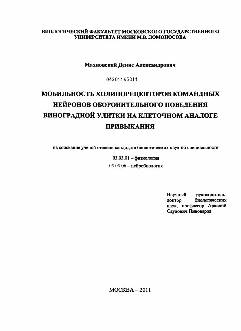Мобильность холинорецепторов командных нейронов оборонительного поведения виноградной улитки на клеточном аналоге привыкания