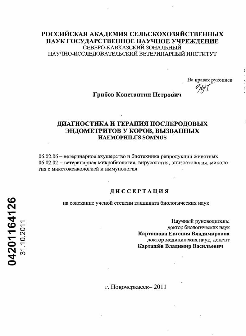 Диагностика и терапия послеродовых эндометритов у коров, вызванных Haemophilus somnus