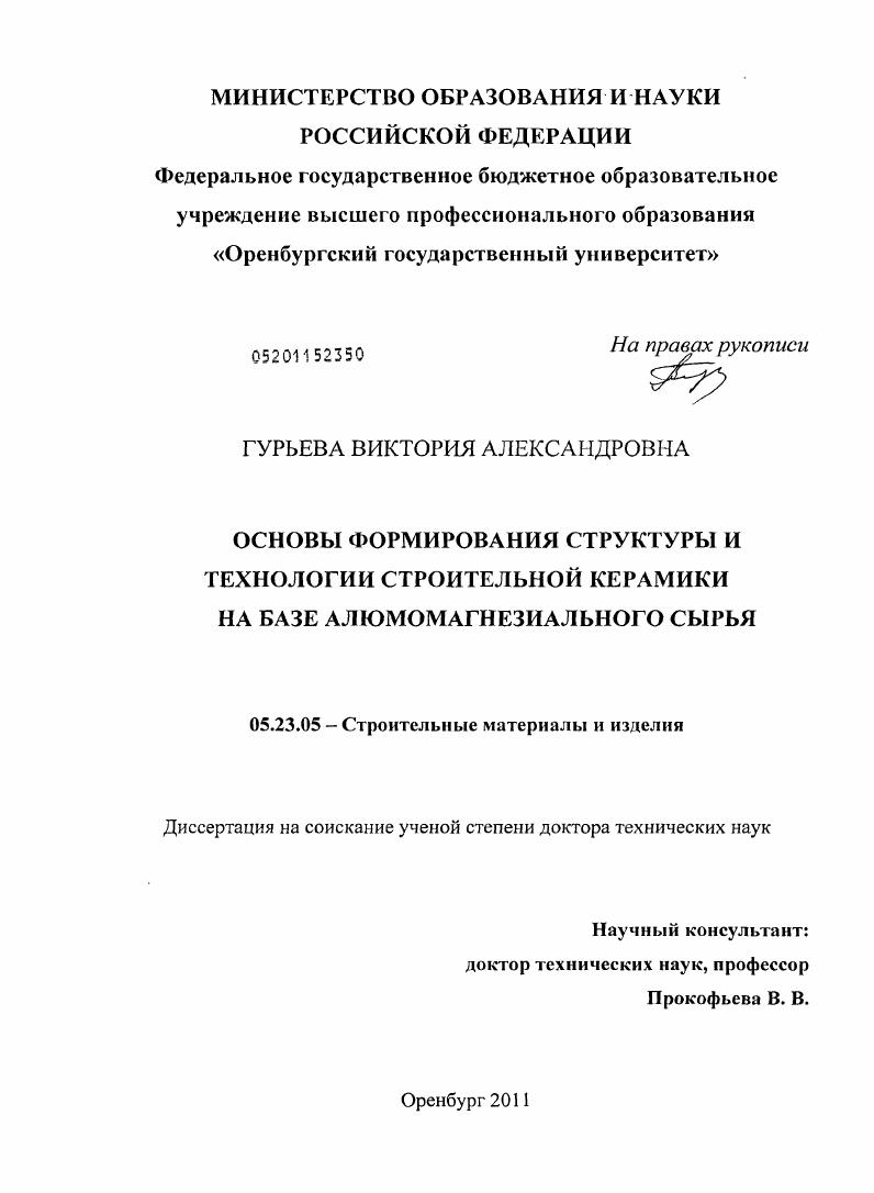 Основы формирования структуры и технологии строительной керамики на базе алюмомагнезиального сырья
