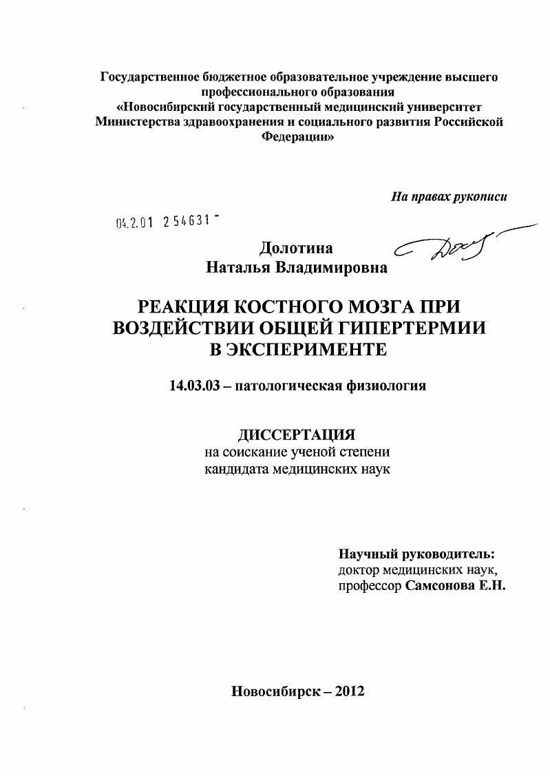Реакция костного мозга при воздействии общей гипертермии в эксперименте