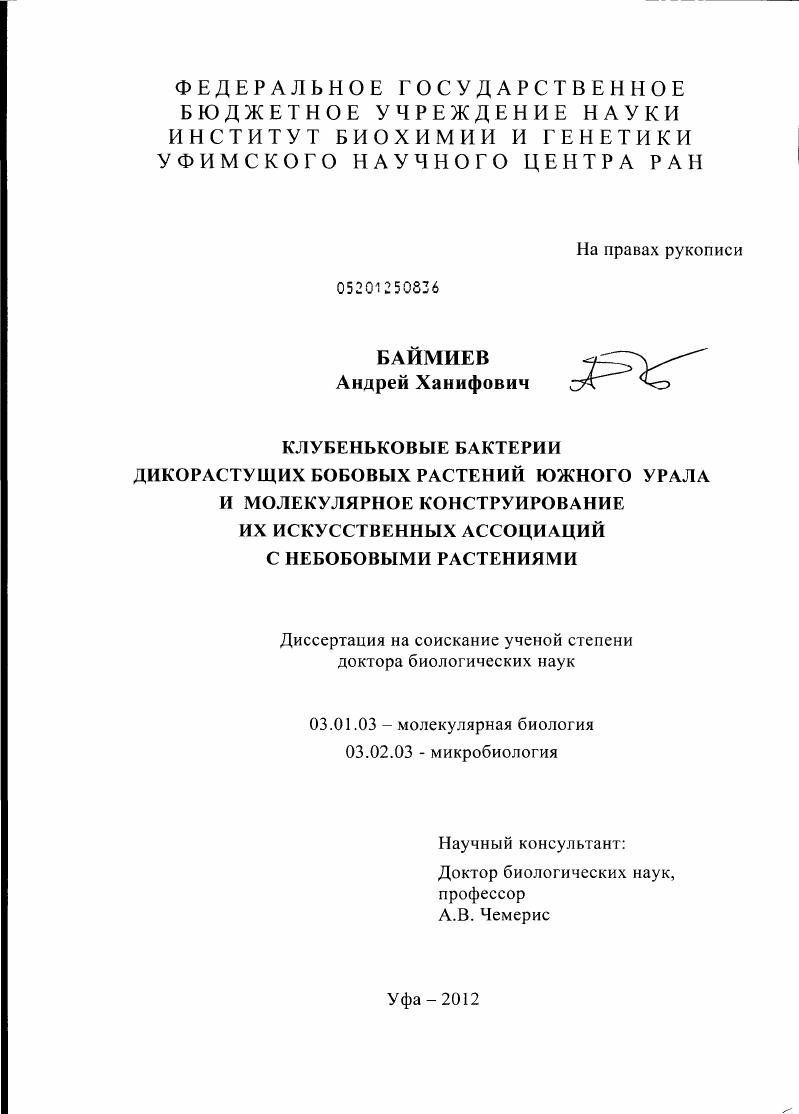 Клубеньковые бактерии дикорастущих бобовых растений Южного Урала и молекулярное конструирование их искусственных ассоциаций с небобовыми растениями