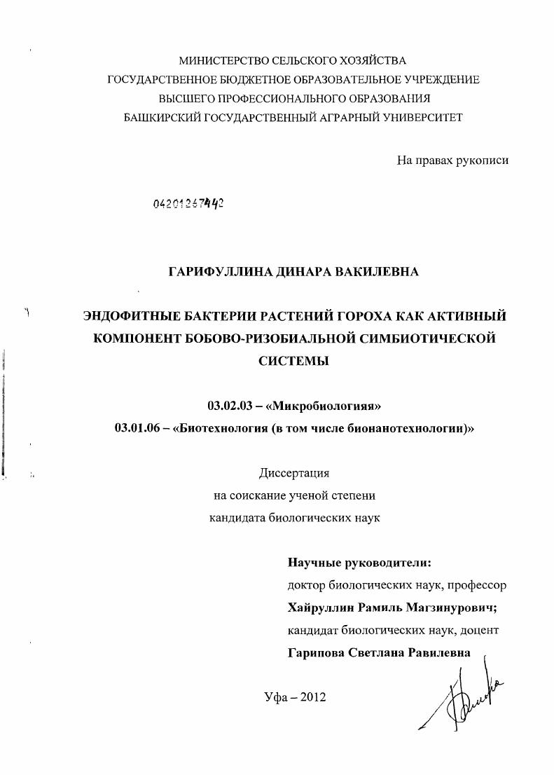 Эндофитные бактерии растений гороха как активный компонент бобово-ризобиальной симбиотической системы