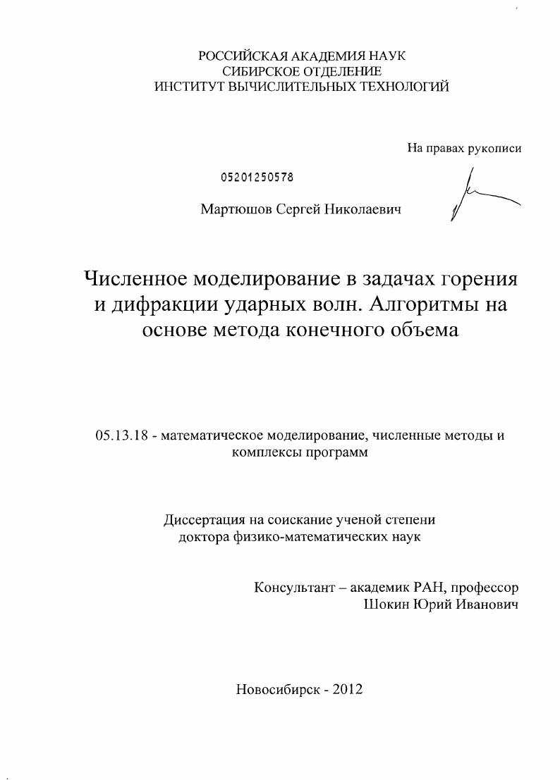 Численное моделирование в задачах горения и дифракции ударных волн : алгоритмы на основе метода конечного объема