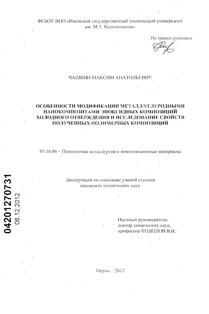 Особенности модификации металл/углеродными нанокомпозитами эпоксидных композиций холодного отверждения и исследование свойств полученных полимерных композиций
