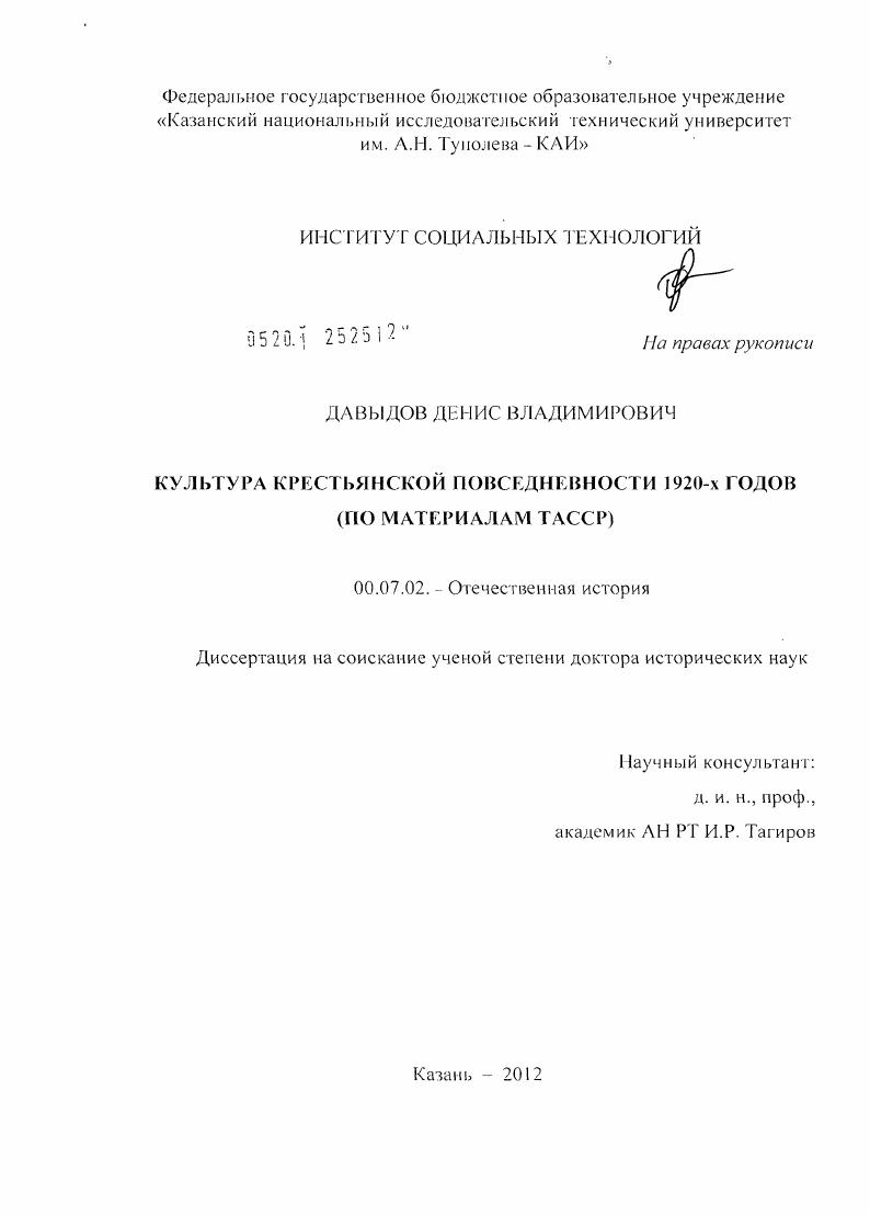 Культура крестьянской повседневности 1920-х годов : по материалам ТАССР