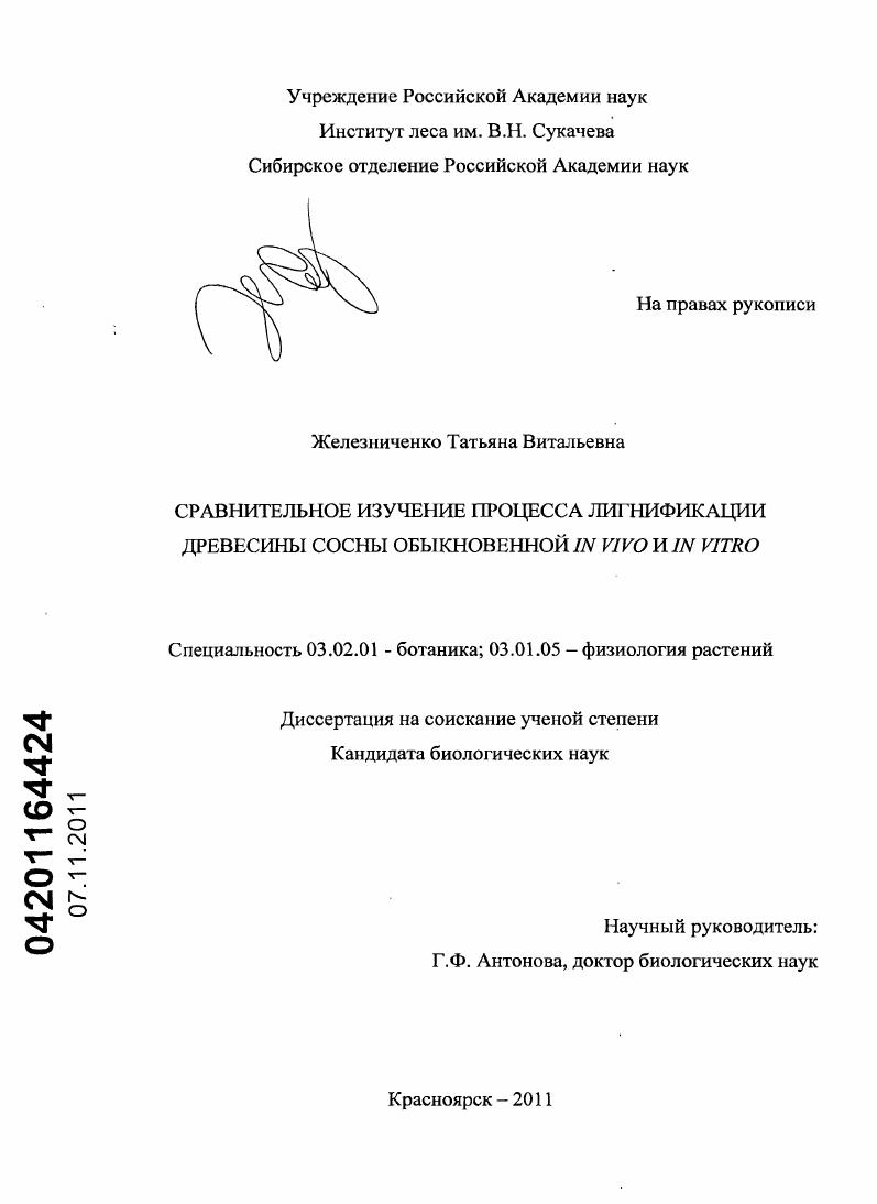 скачать диссертацию Сравнительное изучение процесса лигнификации древесины сосны обыкновенной in vivo и in vitro Сравнительное изучение процесса лигнификации древесины сосны обыкновенной in vivo и in vitro