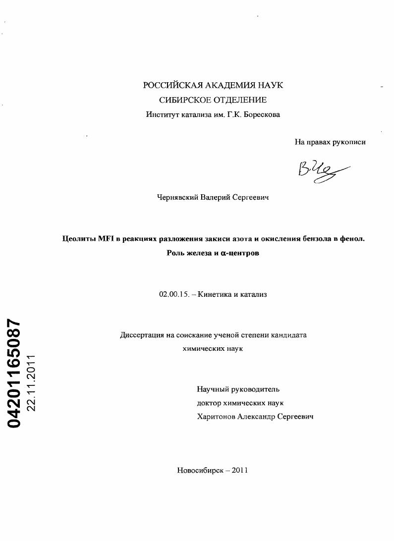 Цеолиты MFI в реакциях разложения закиси азота и окисления бензола в фенол. Роль железа и α-центров