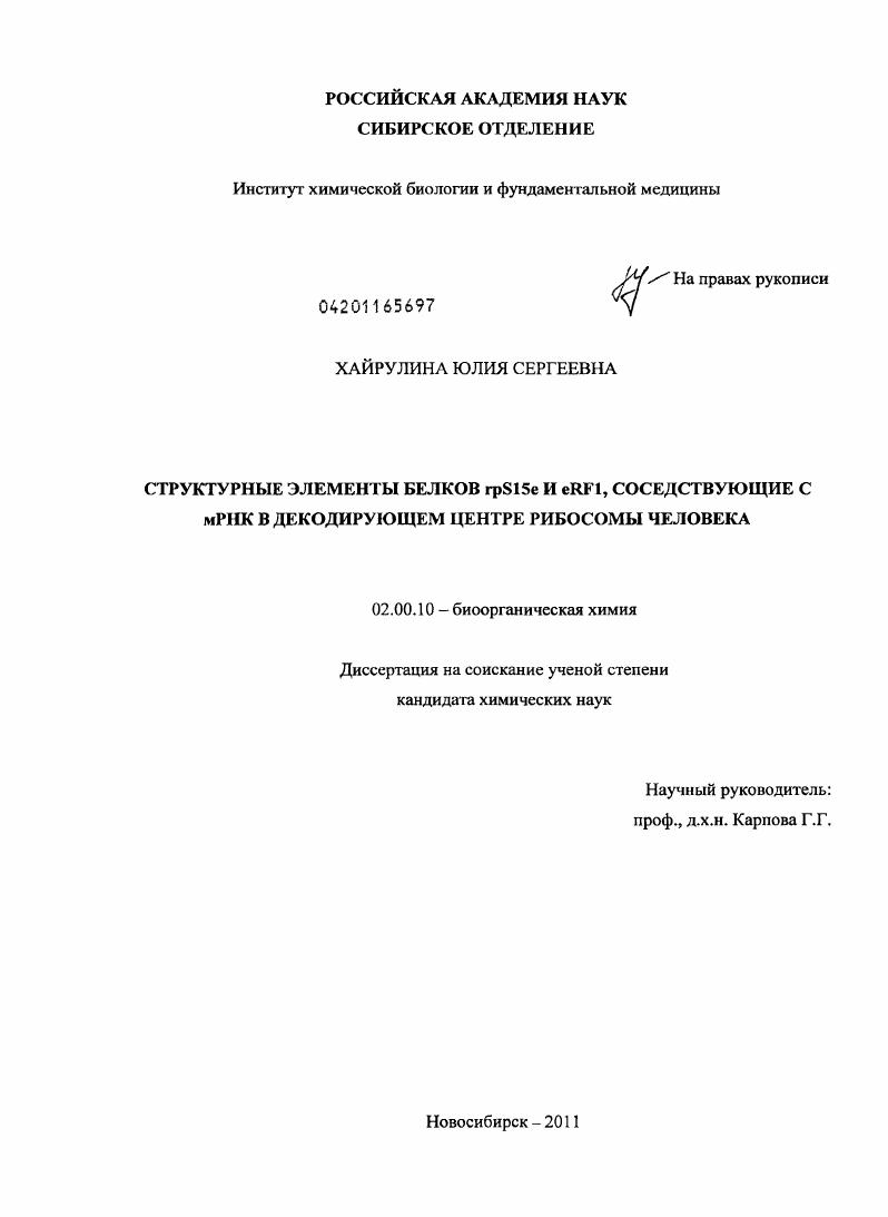 Структурные элементы белков rpS15e и eRF1, соседствующие с мРНК в декодирующем центре рибосомы человека