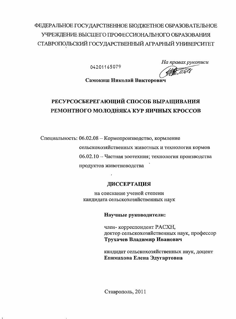 Ресурсосберегающий способ выращивания ремонтного молодняка кур яичных кроссов