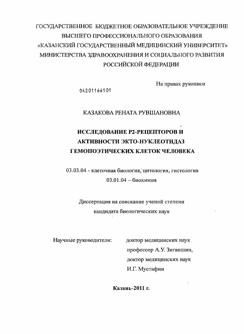 Исследование Р2-рецепторов и активности экто-нуклеотидаз гемопоэтических клеток человека