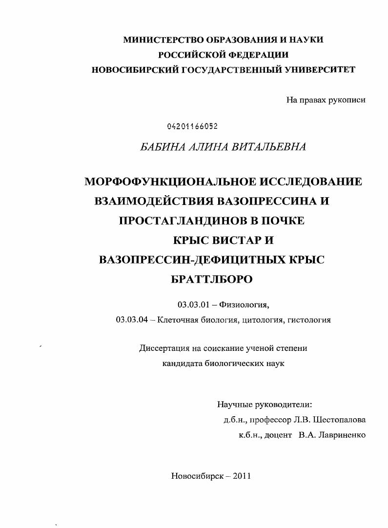 скачать диссертацию Морфофункциональное исследование взаимодействия вазопрессина и простагландинов в почке крыс Вистар и вазопрессин-дефицитных крыс Браттлборо Морфофункциональное исследование взаимодействия вазопрессина и простагландинов в почке крыс Вистар и вазопрессин-дефицитных крыс Браттлборо