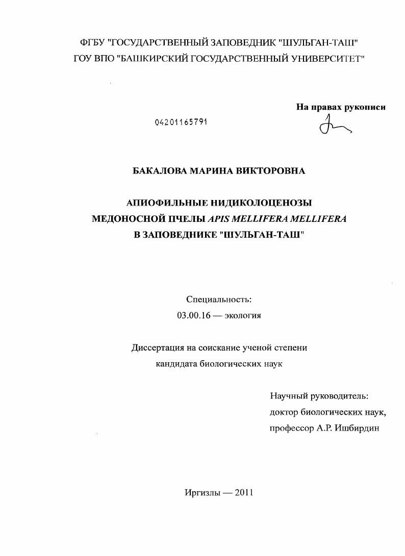 Апиофильные нидиколоценозы медоносной пчелы Apis mellifera mellifera в заповеднике "Шульган-Таш"