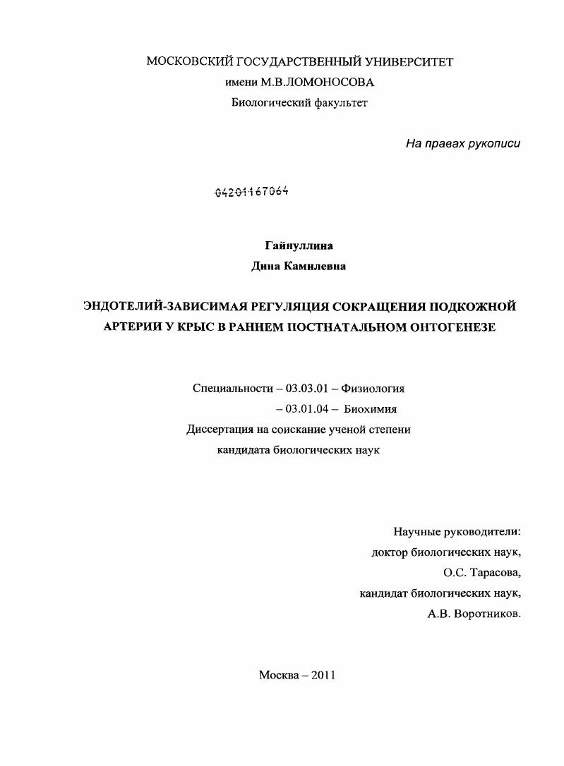 Эндотелий-зависимая регуляция сокращения подкожной артерии у крыс в раннем постнатальном онтогенезе