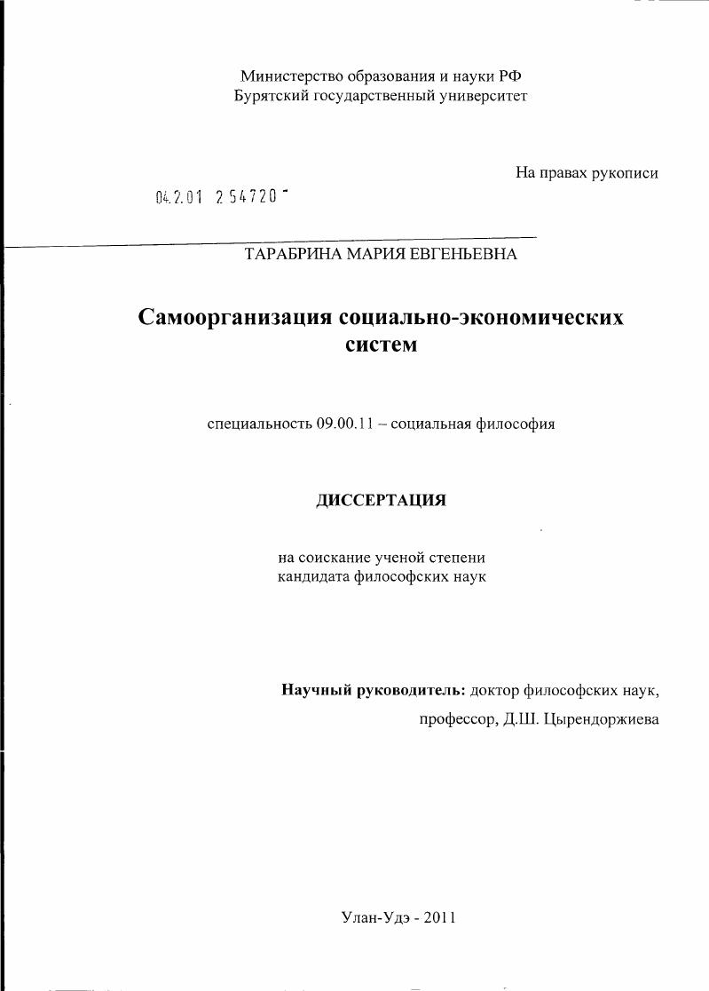 скачать диссертацию Самоорганизация социально-экономических систем Самоорганизация социально-экономических систем