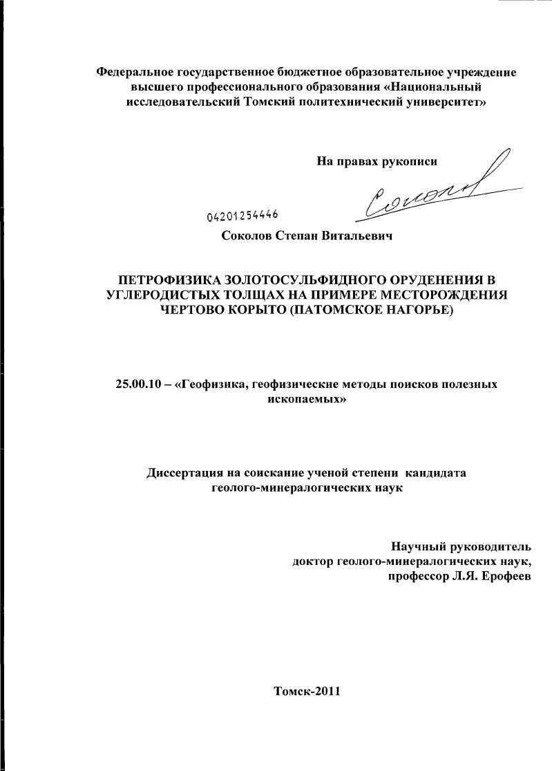 Петрофизика золотосульфидного оруденения в углеродистых толщах на примере месторождения Чертово Корыто : Патомское нагорье