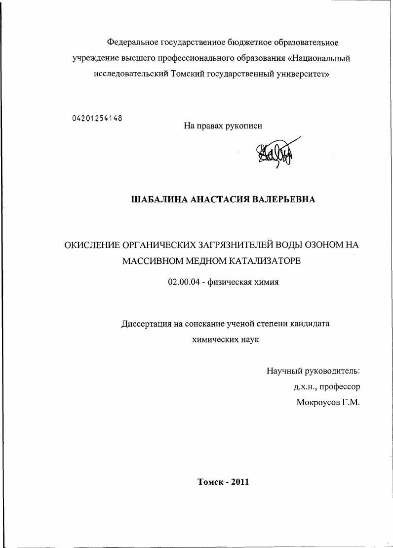 Окисление органических загрязнителей воды озоном на массивном медном катализаторе