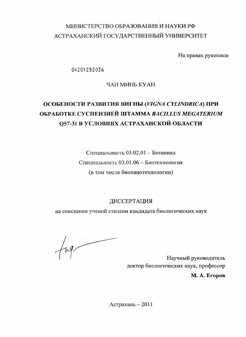 Особенности развития вигны (Vigna cylindrica) при обработке суспензией штамма Bacillus megaterium Q57-31 в условиях Астраханской области