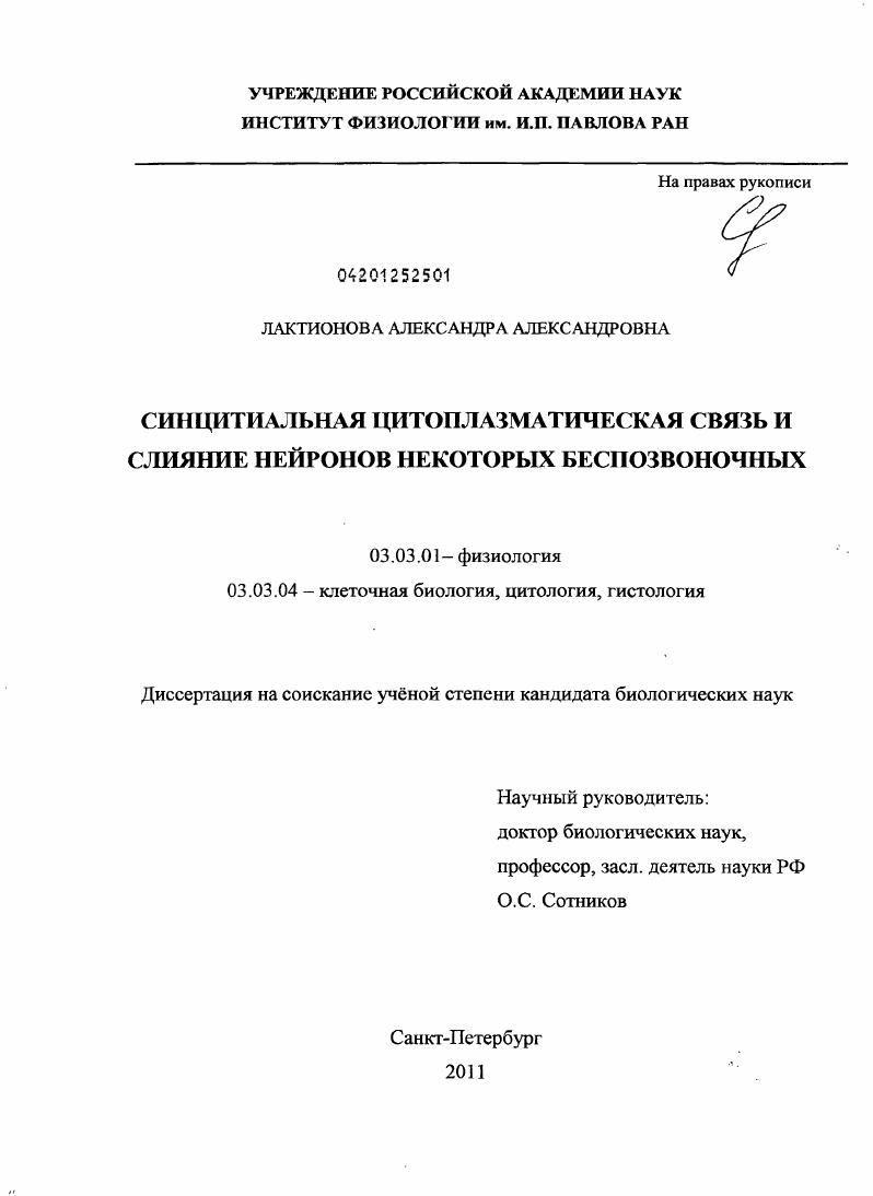 скачать диссертацию Синцитиальная цитоплазматическая связь и слияние нейронов некоторых беспозвоночных Синцитиальная цитоплазматическая связь и слияние нейронов некоторых беспозвоночных