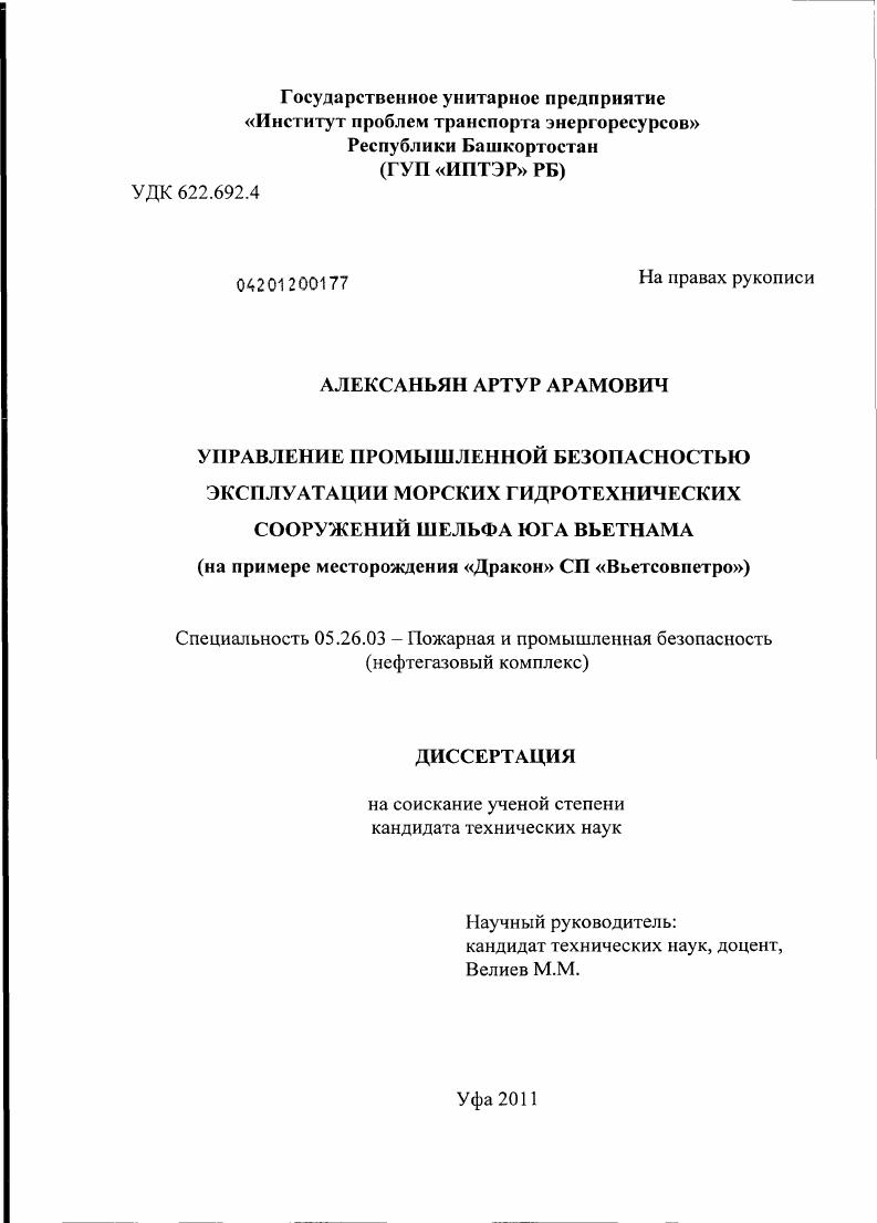 Управление промышленной безопасностью эксплуатации морских гидротехнических сооружений шельфа юга Вьетнама : на примере месторождения "Дракон" СП "Вьетсовпетро"