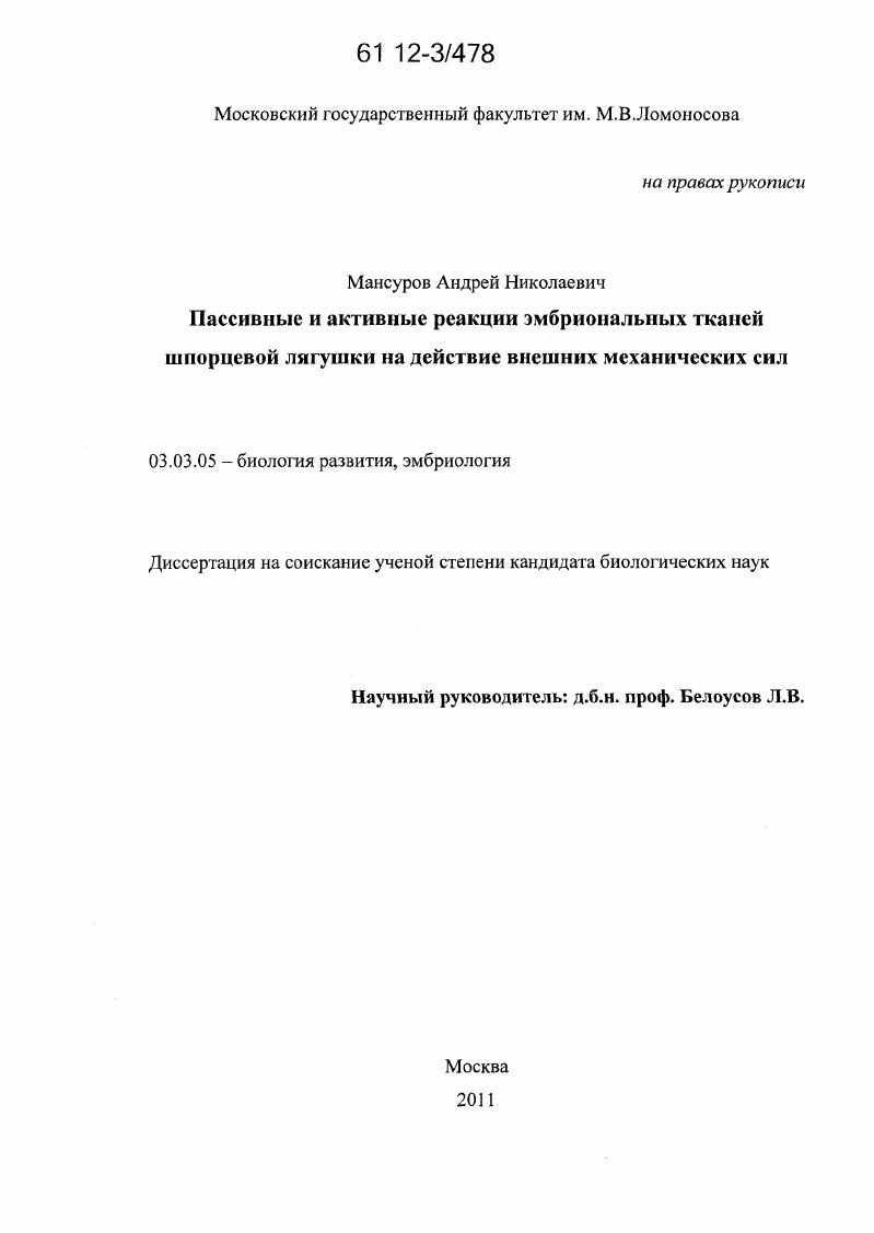 Пассивные и активные реакции эмбриональных тканей шпорцевой лягушки на действие внешних механических сил