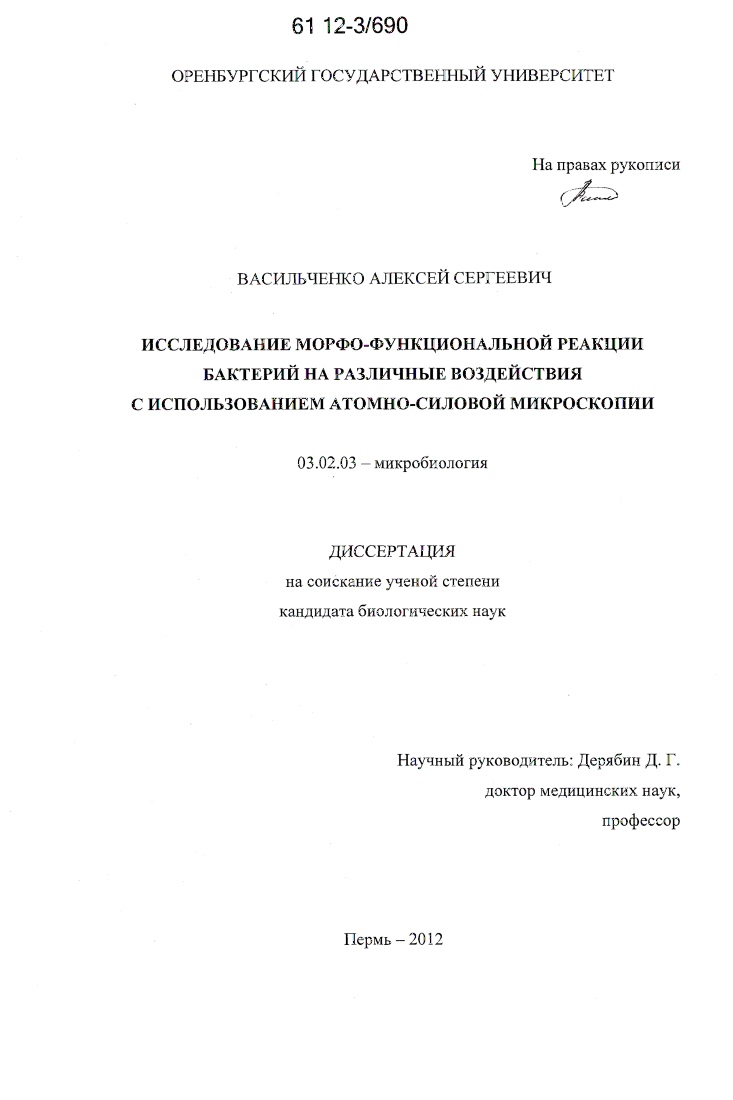 Исследование морфо-функциональной реакции бактерий на различные воздействия с использованием атомно-силовой микроскопии