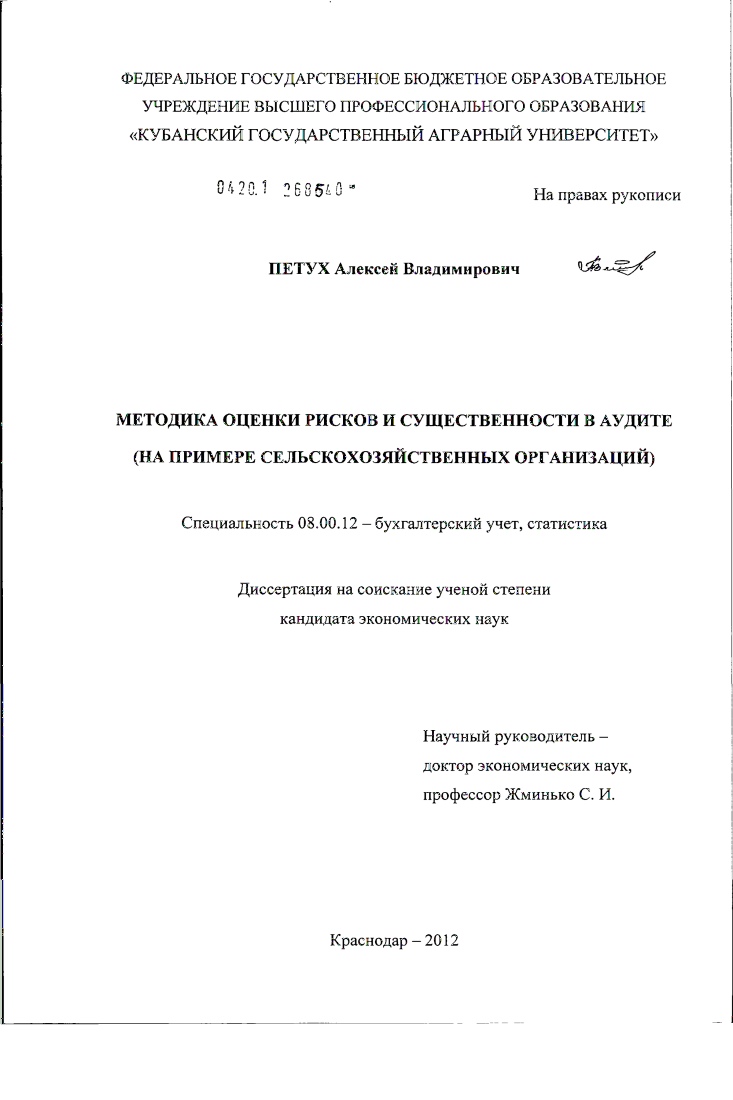 Методика оценки рисков и существенности в аудите : на примере сельскохозяйственных организаций