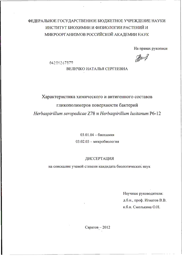 скачать диссертацию Характеристика химического и антигенного составов гликополимеров поверхности бактерий Herbaspirillum seropedicae Z78 и Herbaspirillum lusitanum P6-12 Характеристика химического и антигенного составов гликополимеров поверхности бактерий Herbaspirillum seropedicae Z78 и Herbaspirillum lusitanum P6-12