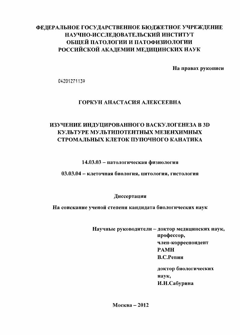 Изучение индуцированного васкулогенеза в 3D культуре мультипотентных мезенхимных стромальных клеток пупочного канатика