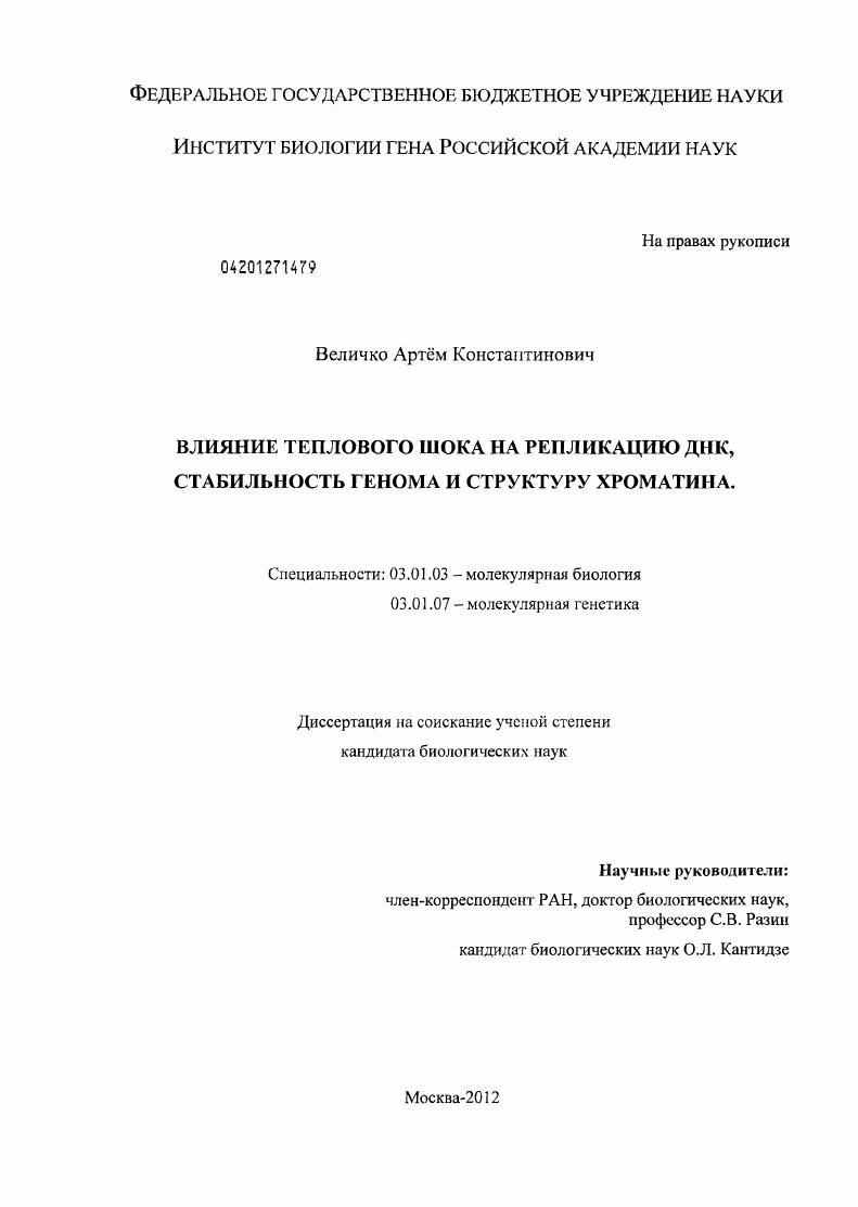 Влияние теплового шока на репликацию ДНК, стабильность генома и структуру хроматина