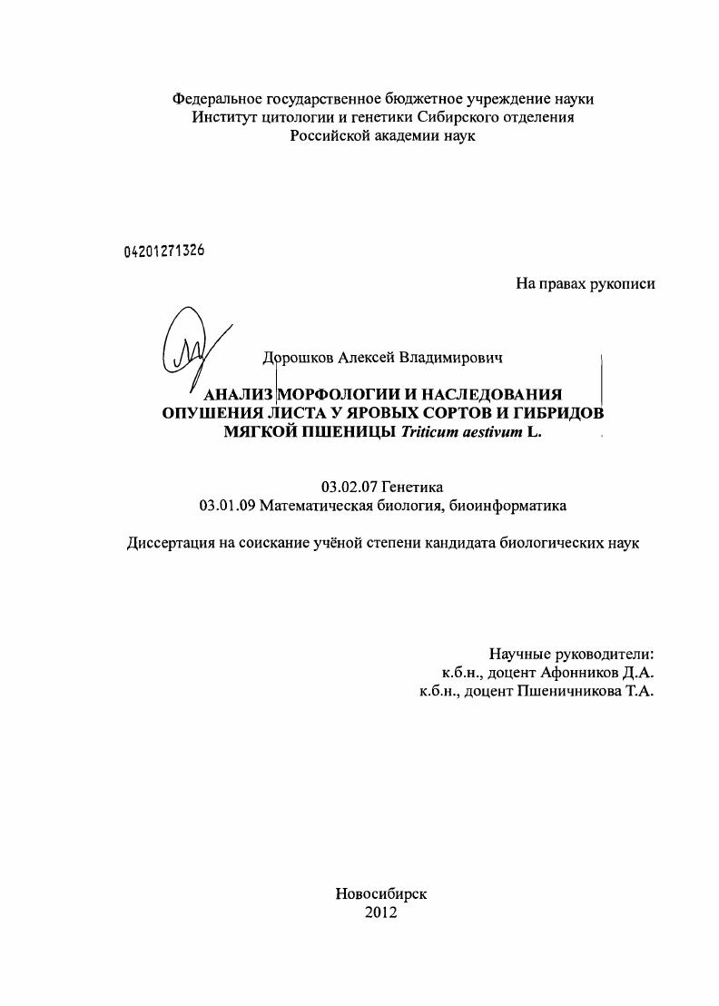 Анализ морфологии и наследования опушения листа у яровых сортов и гибридов мягкой пшеницы Triticum aestivum L.