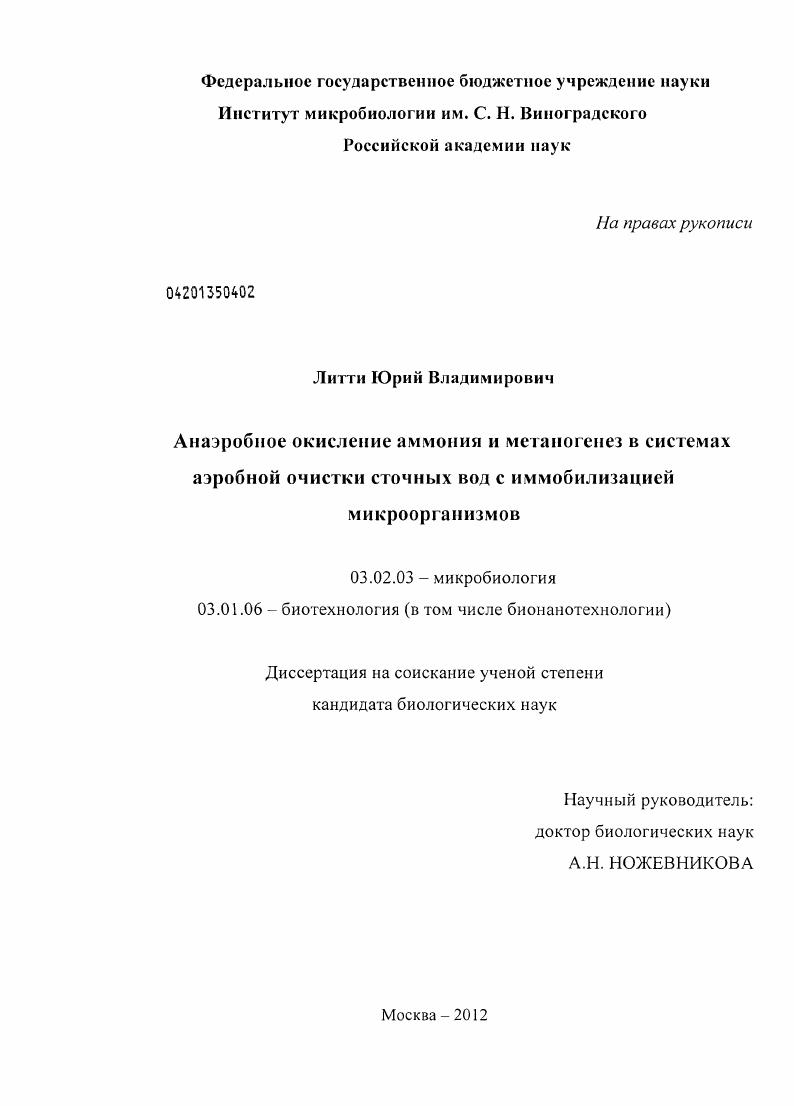 скачать диссертацию Анаэробное окисление аммония и метаногенез в системах аэробной очистки сточных вод с иммобилизацией микроорганизмов Анаэробное окисление аммония и метаногенез в системах аэробной очистки сточных вод с иммобилизацией микроорганизмов