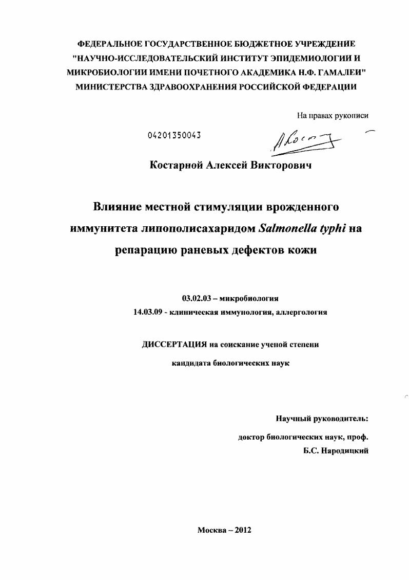 Влияние местной стимуляции врожденного иммунитета липополисахаридом Salmonella typhi на репарацию раневых дефектов кожи
