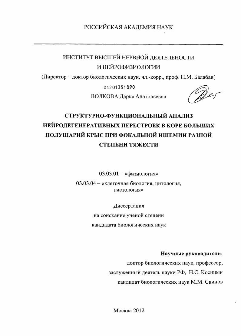 Структурно-функциональный анализ нейродегенеративных перестроек в коре больших полушарий крыс при фокальной ишемии разной степени тяжести