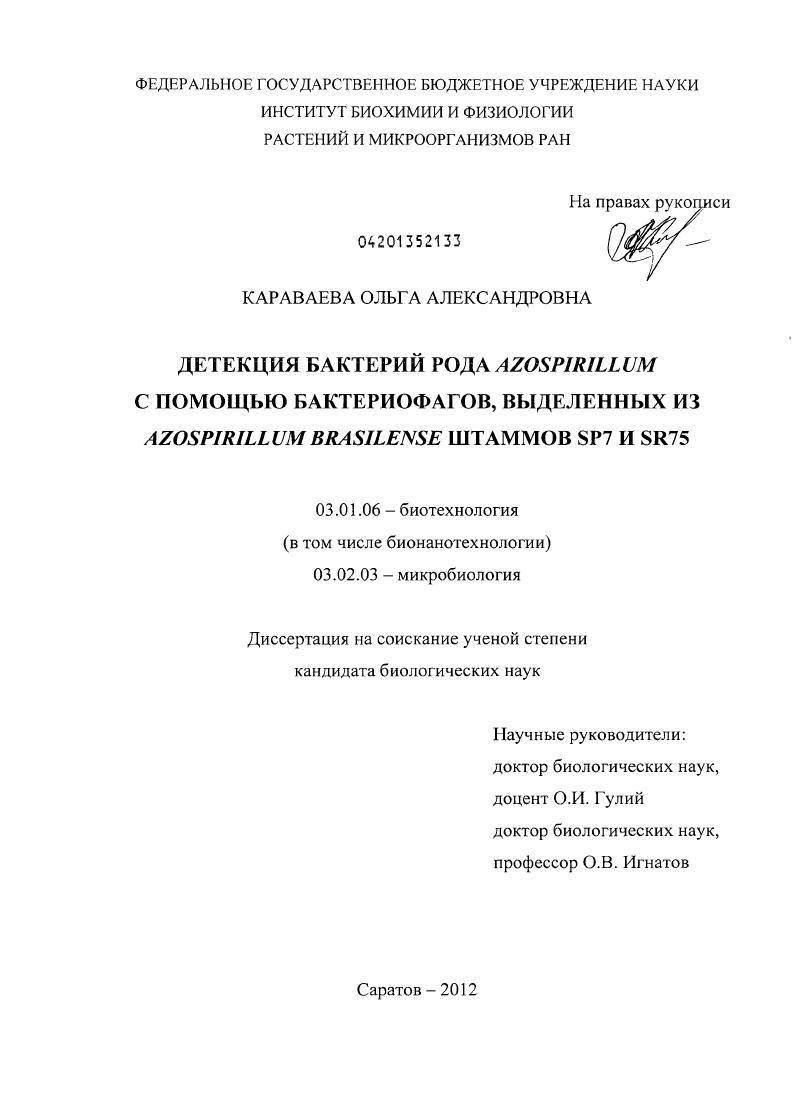 Детекция бактерий рода Azospirillum с помощью бактериофагов, выделенных из Azospirillum brasilense штаммов Sp7 и SR75